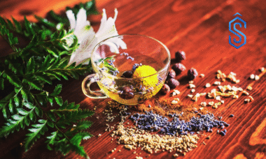 Ayurveda start-ups