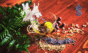 Ayurveda start-ups