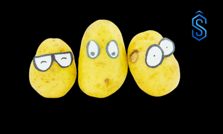 International Potato Centre