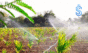 Mahindra EPC Irrigation