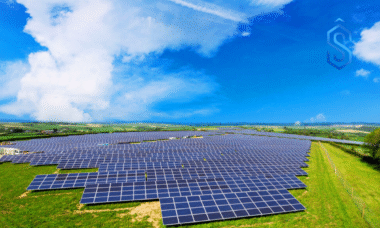 PV Module Index Report 2025