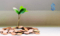 Gaja Alternative Asset Management