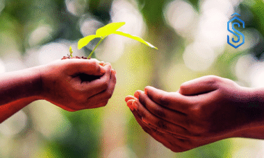 TiE Pune Nurture Accelerator Program