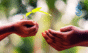 TiE Pune Nurture Accelerator Program
