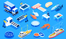 seafood industry