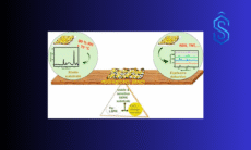 smart nano-materials