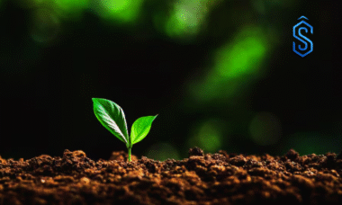 vegetable seed hub