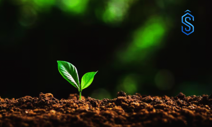 vegetable seed hub