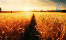 Biofach India 2025