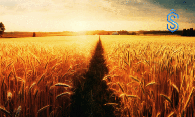 Biofach India 2025