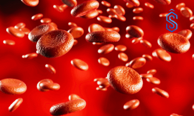 DKMS Foundation India Blood Stem Cells Donation