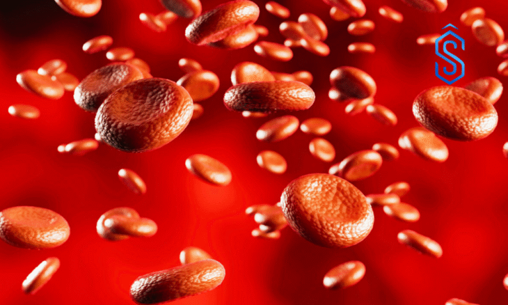 DKMS Foundation India Blood Stem Cells Donation