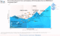 Everest Group