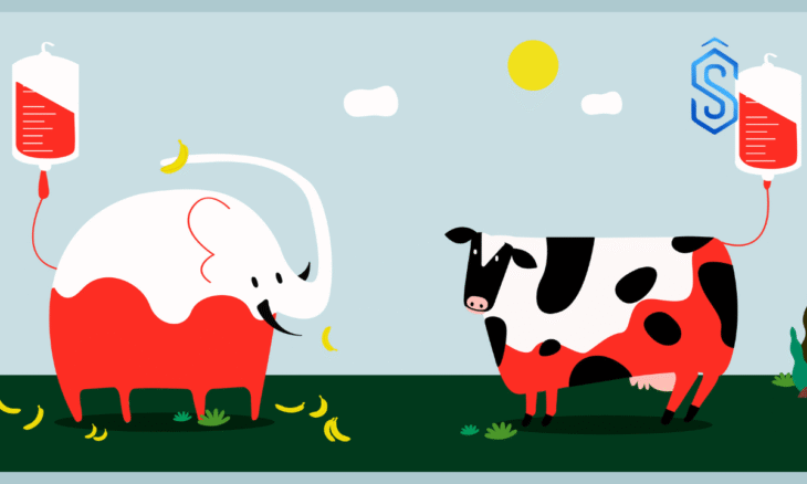 Guidelines for Animal Blood Transfusion and Blood Banks