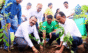 Miyawaki afforestation in Mulshi