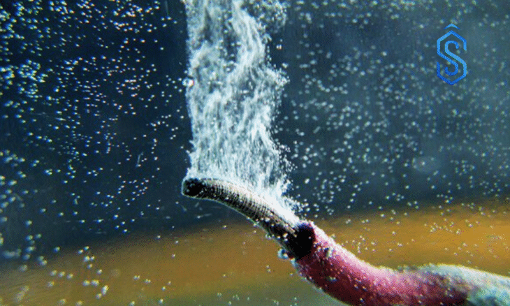 Seawater Electrolysis