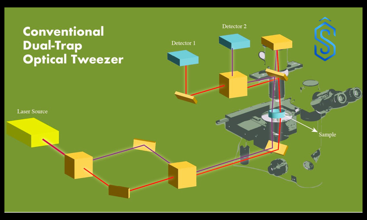 dual trap optical tweezers system