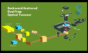 dual-trap optical tweezers system