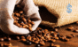 coffee exports
