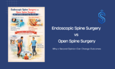 endoscopic spine surgery