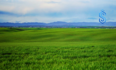 AVIO Agritech expansion