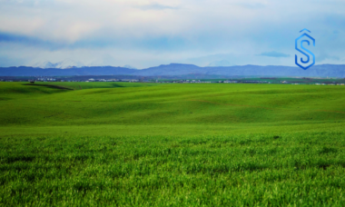 AVIO Agritech expansion