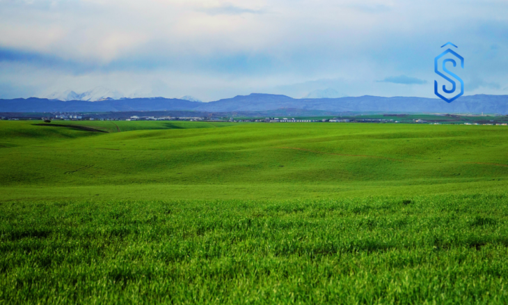 AVIO Agritech expansion