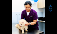 Zigly pet care centre