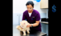 Zigly pet care centre
