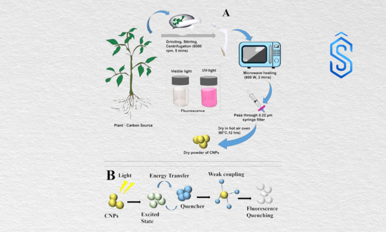 Carbon Nanoparticles