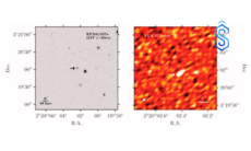 Fast X-ray Transients