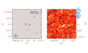 Fast X-ray Transients