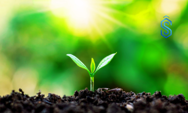 World Environment Day