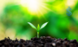 World Environment Day