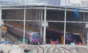 Pune infrastructure boom